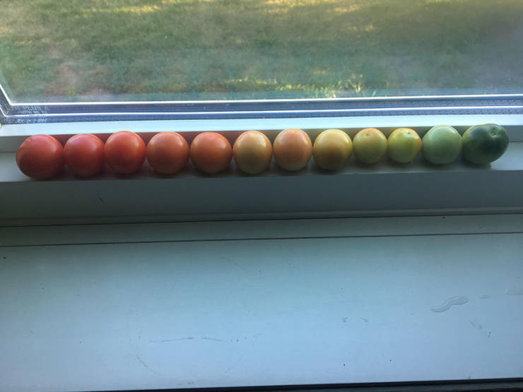 morning picdump 50 pics 4.html - 50 HD Photos | Premium Gallery 2019