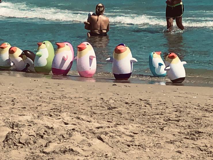 morning picdump 50 pics 4.html - 50 HD Photos | Premium Gallery 2019