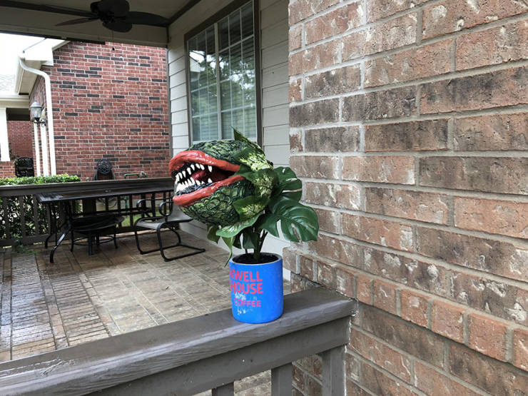 morning picdump 50 pics 4.html - 50 HD Photos | Premium Gallery 2019