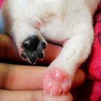 the sexy cosplay girls of every nerds fantasy 50 pics.html - 50 HD Photos | Premium Gallery 2020