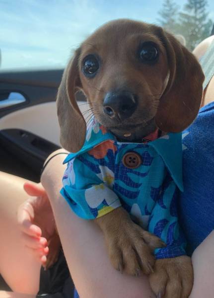 page,4,top 100 animals pics of the year 2019.html - 1 HD Photos | Premium Gallery 2019