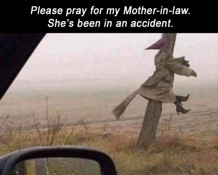 funny picdump 50 pics 19.html - 50 HD Photos | Premium Gallery 2019