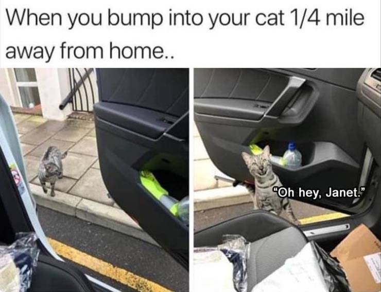 funny picdump 50 pics 19.html - 50 HD Photos | Premium Gallery 2019