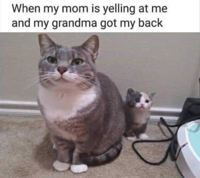 funny picdump 50 pics 19.html - 50 HD Photos | Premium Gallery 2019
