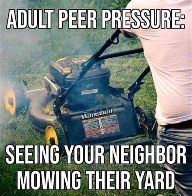 funny picdump 50 pics 19.html - 50 HD Photos | Premium Gallery 2019