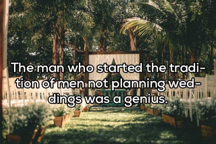 page,3,top 100 interesting pics of the year 2019.html - 1 HD Photos | Premium Gallery 2019