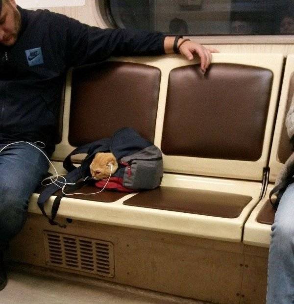 Subway Is Such A Fun Place!