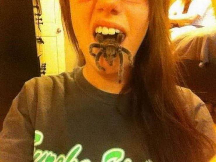 Daily Picdump