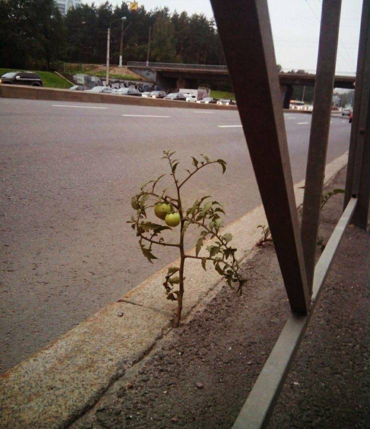 Daily Picdump