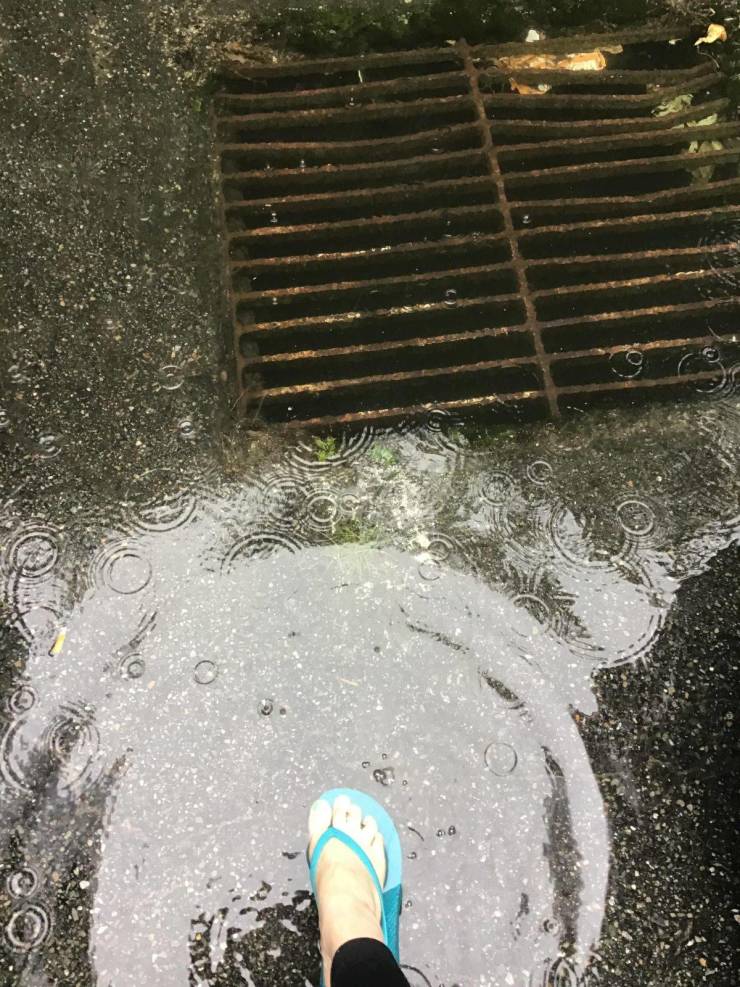 Yup, You Totally Nailed It!