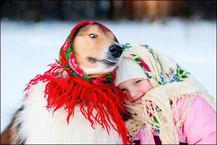 Daily Picdump