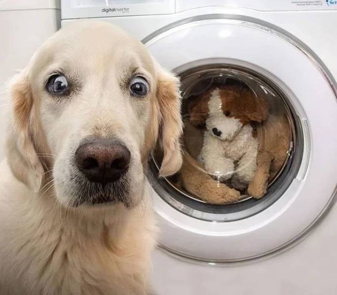 Daily Picdump