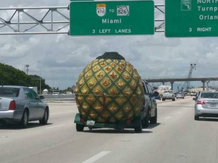 Daily Picdump