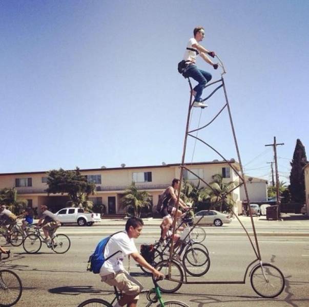 Daily Picdump