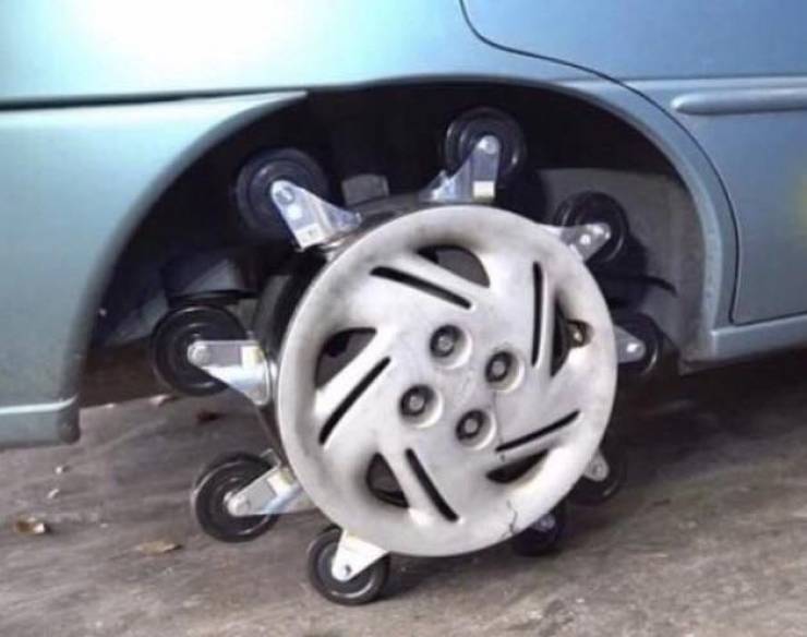 Daily Picdump