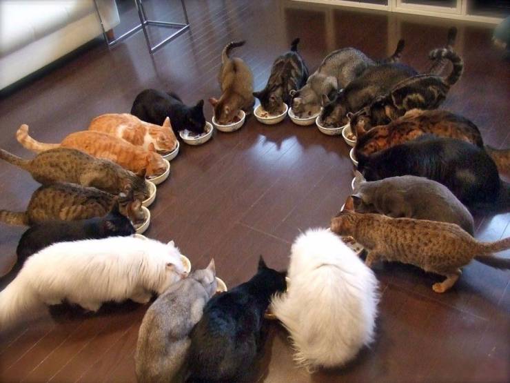 Daily Picdump