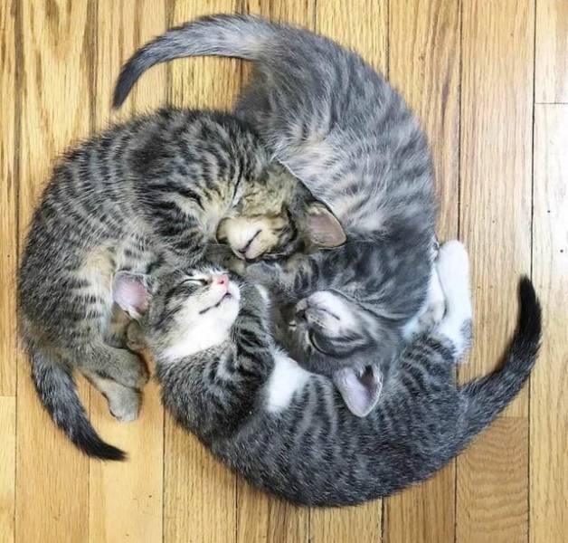 Daily Picdump