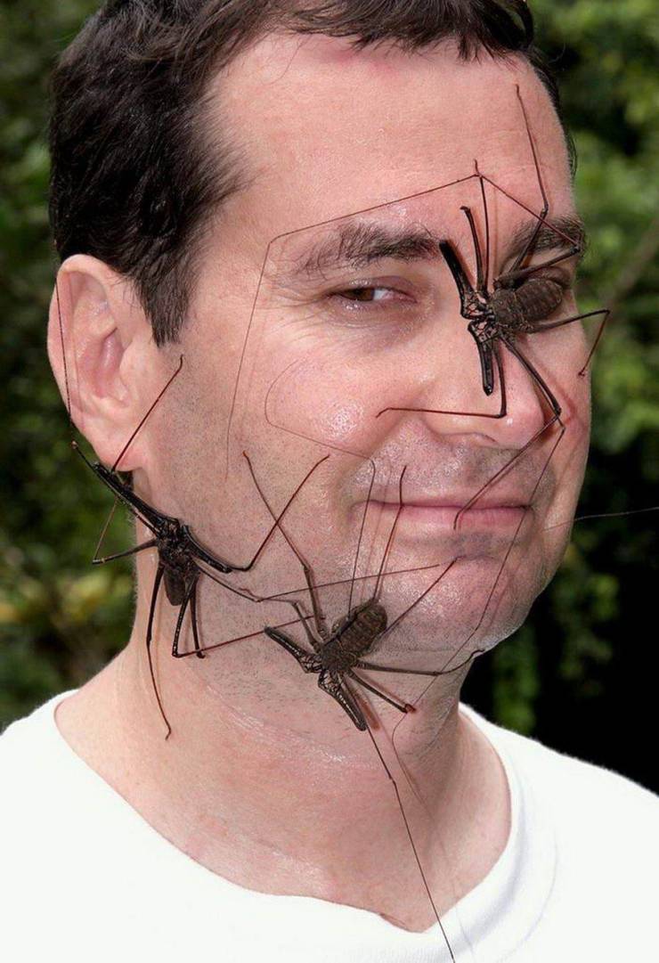 Daily Picdump