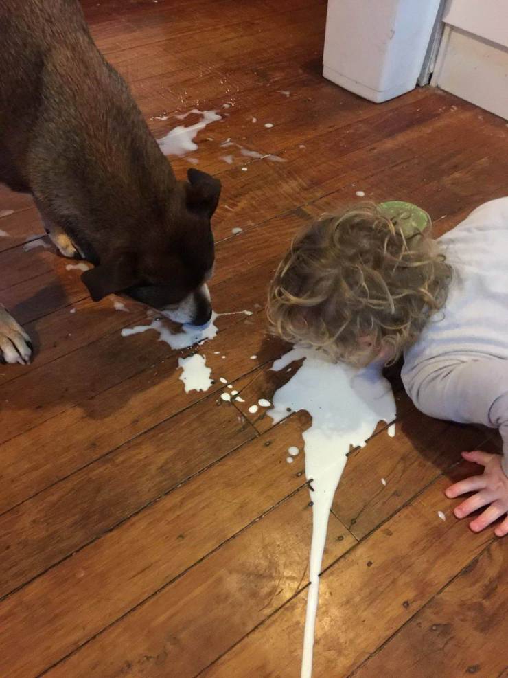 Daily Picdump