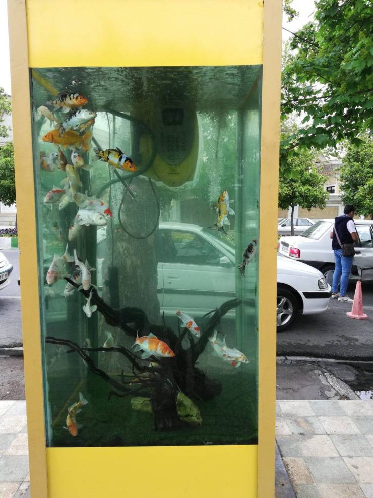 Daily Picdump