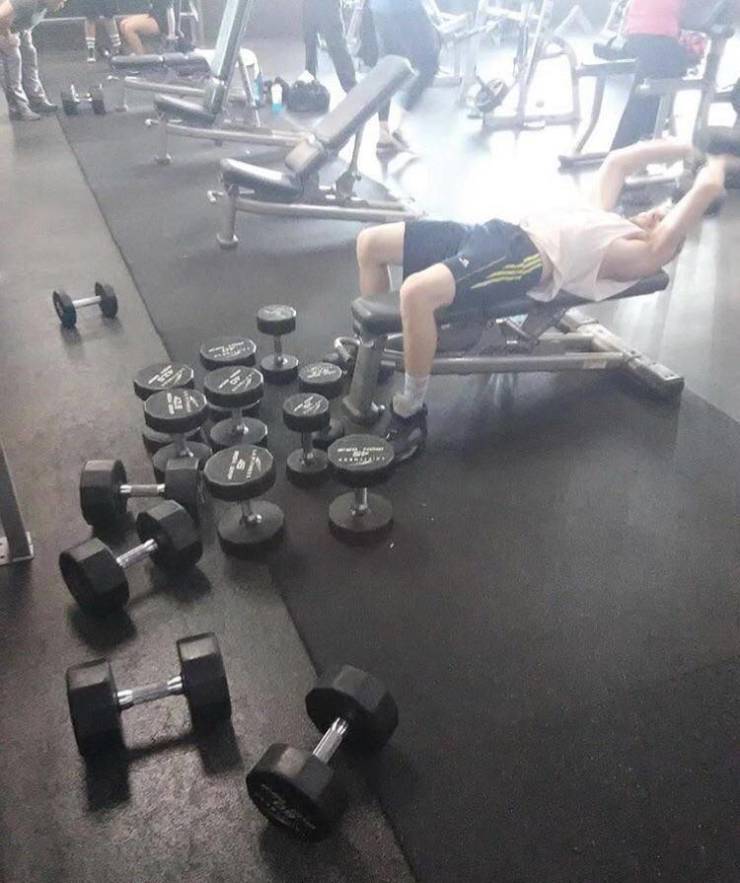 Daily Picdump