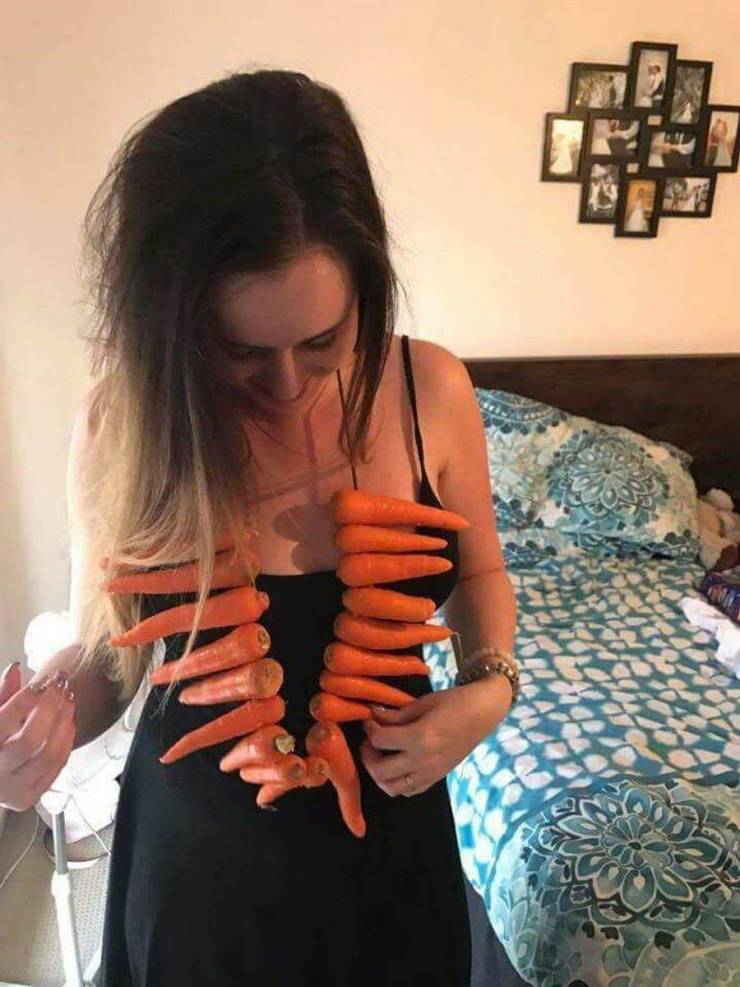 Daily Picdump