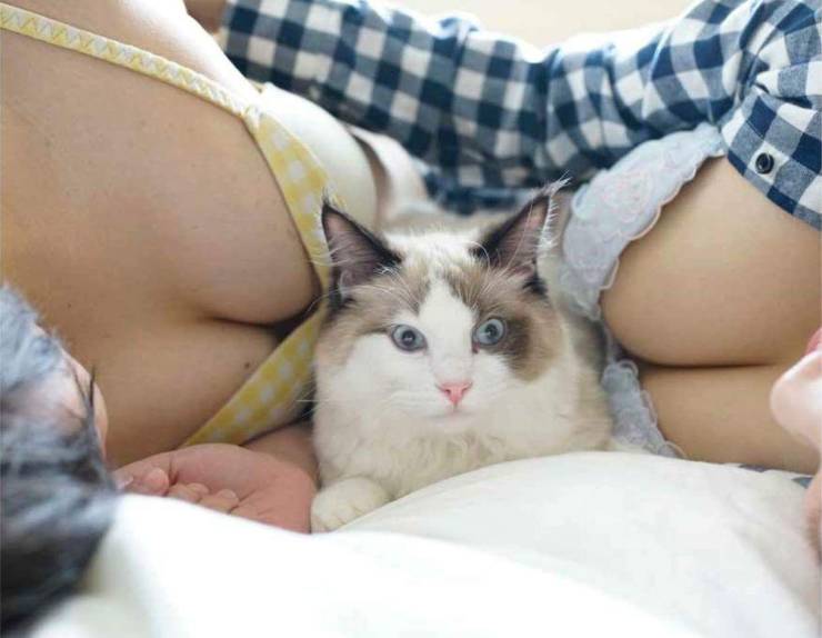 page,6,top 750 daily pics of the year 2019.html - 1 HD Photos | Premium Gallery 2019