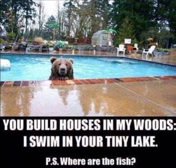 funny picdump 56 pics 23.html - 56 HD Photos | Premium Gallery 2019