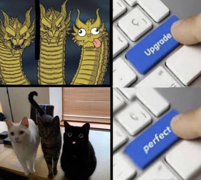 funny picdump 56 pics 23.html - 56 HD Photos | Premium Gallery 2019