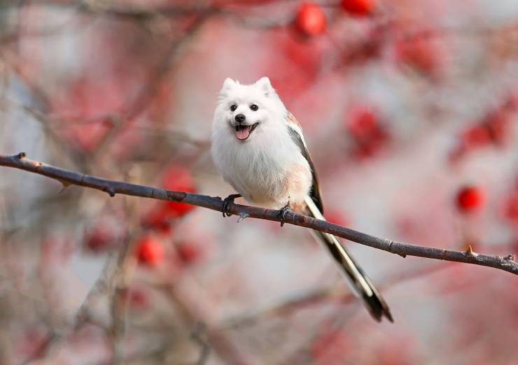 funny picdump 56 pics 23.html - 56 HD Photos | Premium Gallery 2019