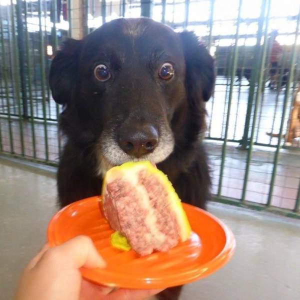 funny picdump 56 pics 2.html - 56 HD Photos | Premium Gallery 2019