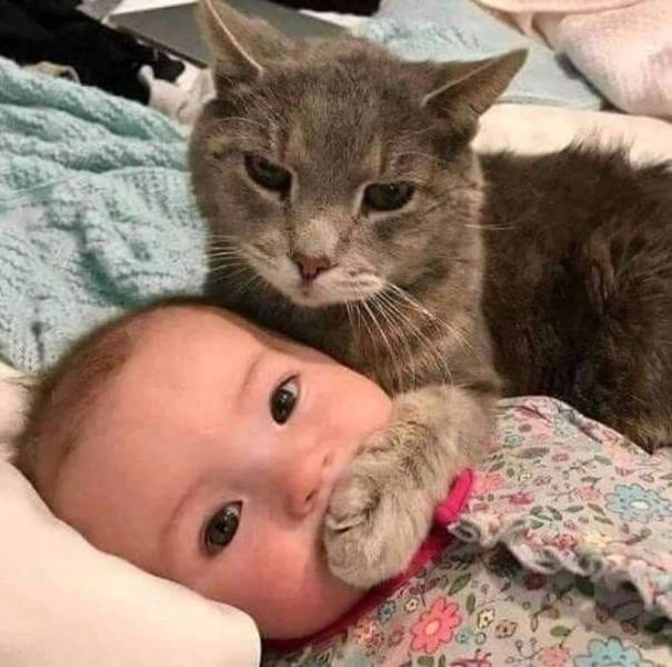 funny picdump 56 pics 2.html - 56 HD Photos | Premium Gallery 2019