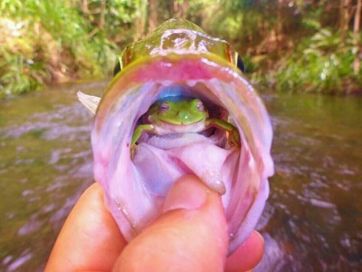 morning picdump 54 pics 1.html - 54 HD Photos | Premium Gallery 2019