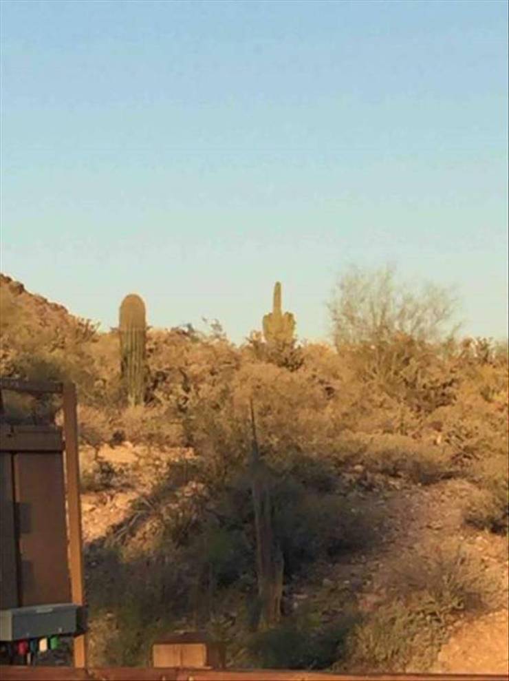 Dirty Mind, Come Here!