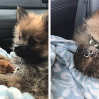 gay kids 53 pics.html - 53 HD Photos | Premium Gallery 2011