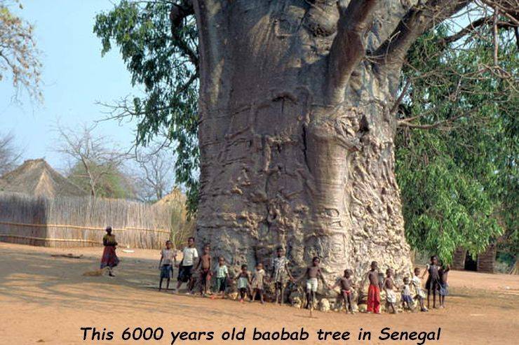 daily picdump 93 pics 41.html - 93 HD Photos | Premium Gallery 2019