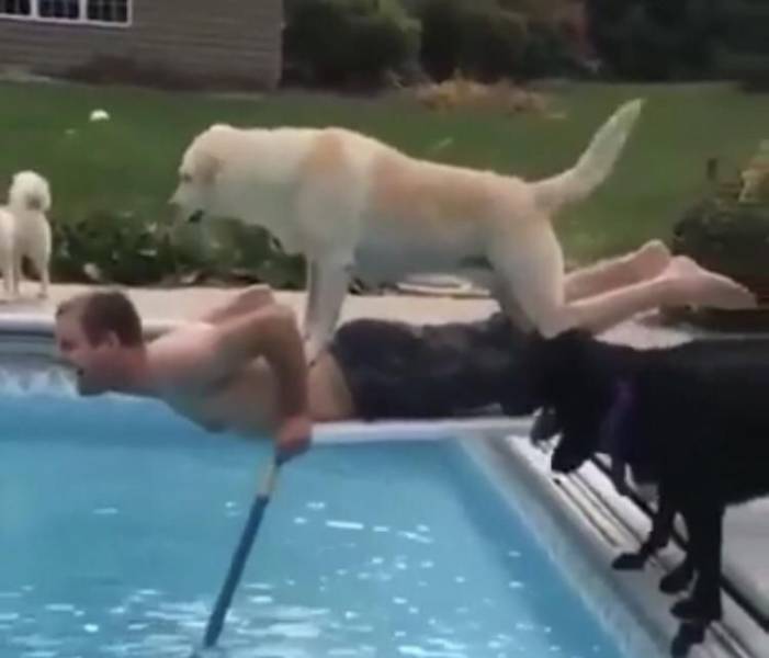 daily picdump 93 pics 41.html - 93 HD Photos | Premium Gallery 2019