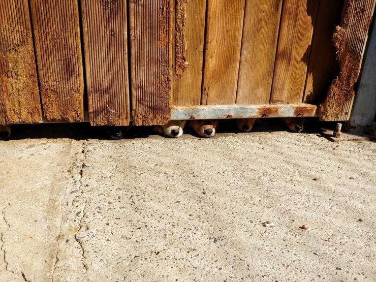 daily picdump 93 pics 41.html - 93 HD Photos | Premium Gallery 2019