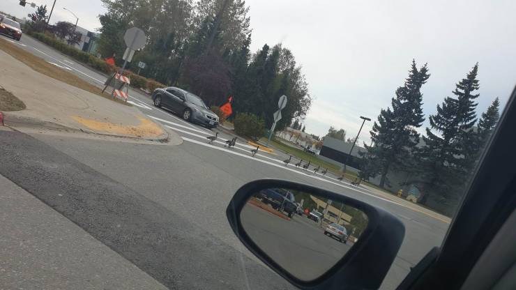 daily picdump 93 pics 41.html - 93 HD Photos | Premium Gallery 2019