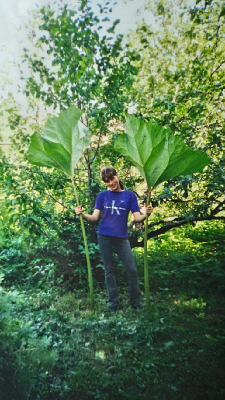 daily picdump 93 pics 41.html - 93 HD Photos | Premium Gallery 2019