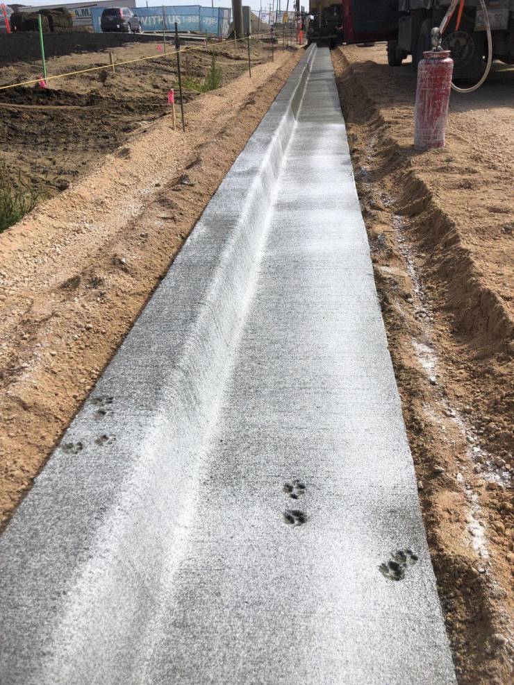 daily picdump 93 pics 41.html - 93 HD Photos | Premium Gallery 2019