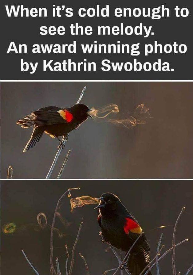 daily picdump 93 pics 41.html - 93 HD Photos | Premium Gallery 2019