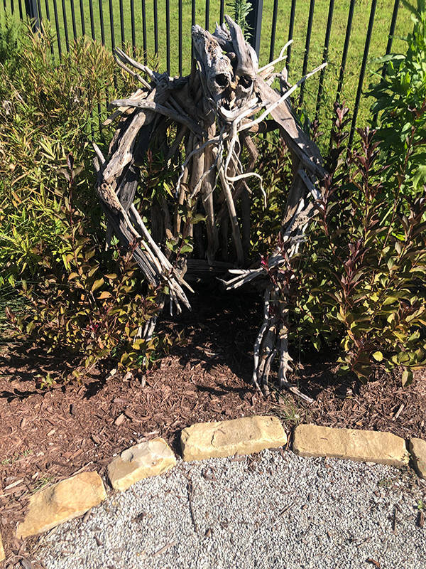 No, Thanks, Do Not Want