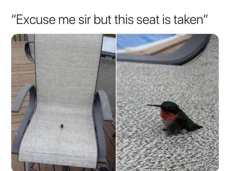 Funny Picdump