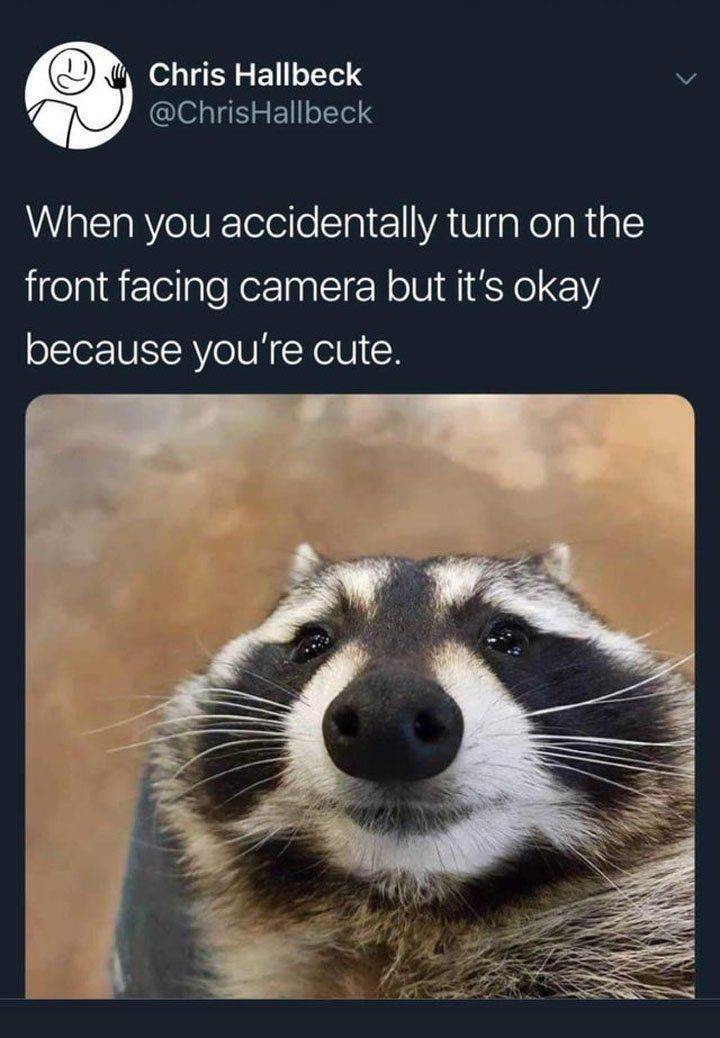 Funny Picdump