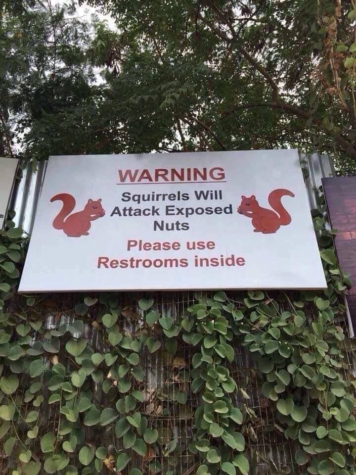 Funny Picdump