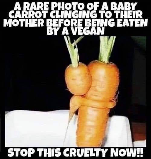 Funny Picdump