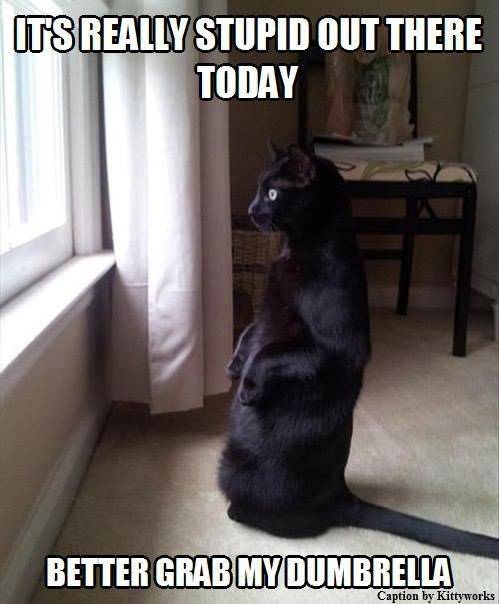 Funny Picdump