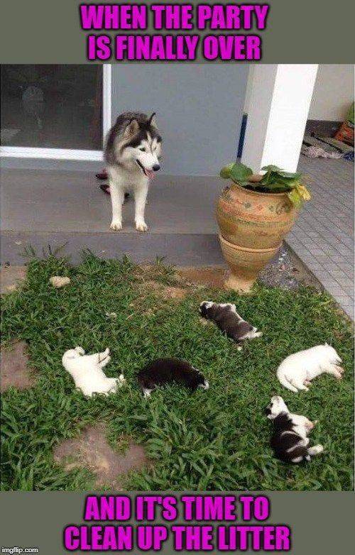 Funny Picdump