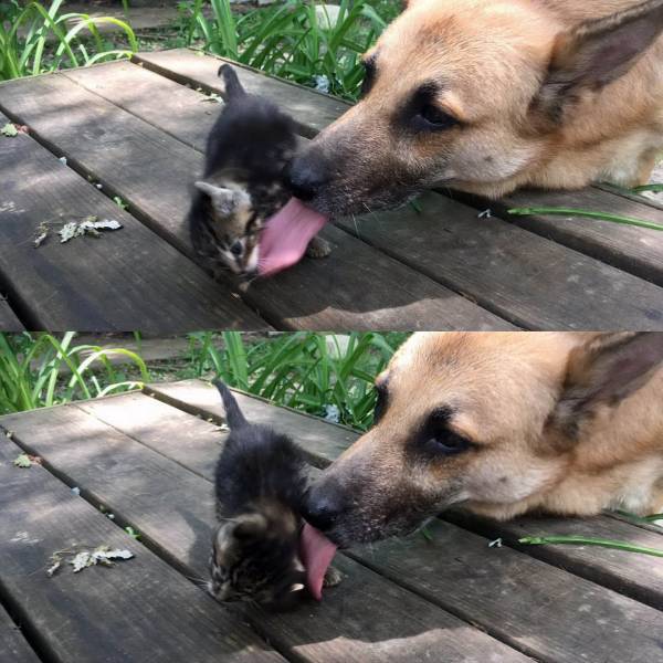 Daily Picdump